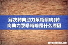 转向助力泵嗡嗡响是什么原因 解决转向助力泵嗡嗡响