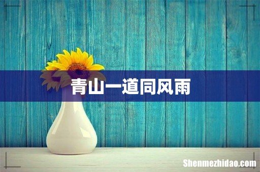 青山一道同风雨
