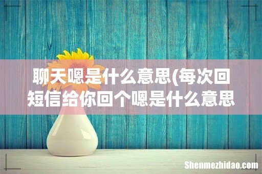 每次回短信给你回个嗯是什么意思 聊天嗯是什么意思