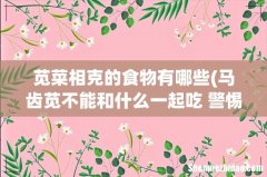 马齿苋不能和什么一起吃 警惕3大相克食物 苋菜相克的食物有哪些