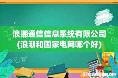 浪潮和国家电网哪个好 浪潮通信信息系统有限公司