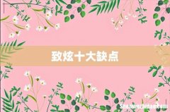 致炫十大缺点