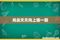 肖战天天向上哪一期