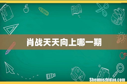 肖战天天向上哪一期