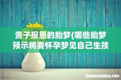 哪些胎梦预示将要怀孕梦见自己生孩子 贵子报恩的胎梦