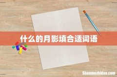 什么的月影填合适词语