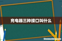 充电器三种接口叫什么