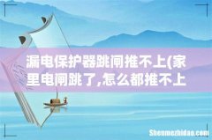家里电闸跳了,怎么都推不上去,怎么办 漏电保护器跳闸推不上