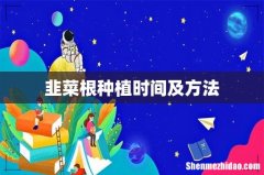 韭菜根种植时间及方法