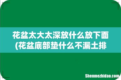 花盆底部垫什么不漏土排水好 花盆太大太深放什么放下面