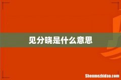 见分晓是什么意思