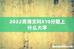 2022青海文科510分能上什么大学