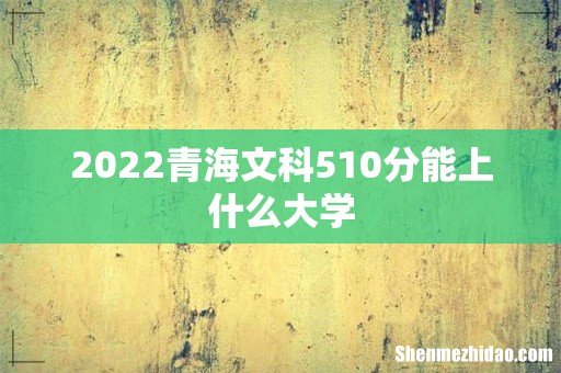 2022青海文科510分能上什么大学