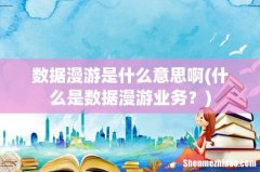 什么是数据漫游业务？ 数据漫游是什么意思啊