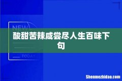 酸甜苦辣咸尝尽人生百味下句