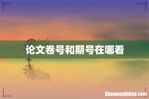 论文卷号和期号在哪看