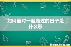 如何面对一起走过的日子是什么歌
