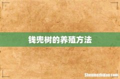 钱兜树的养殖方法