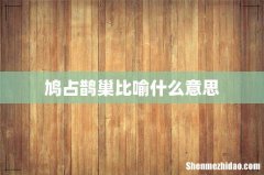 鸠占鹊巢比喻什么意思