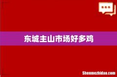 东城主山市场好多鸡