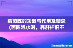 茵陈泡水喝，养肝护肝不在话下，同时3个禁忌要牢记 藏茵陈的功效与作用及禁忌