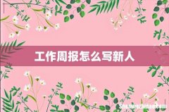工作周报怎么写新人