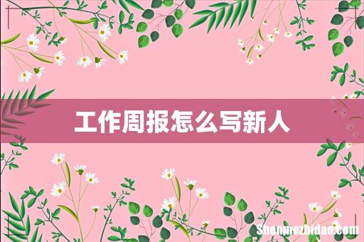工作周报怎么写新人