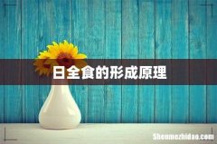 日全食的形成原理
