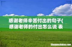 感谢老师的付出怎么说 表达真诚感激的句子 感谢老师辛苦付出的句子
