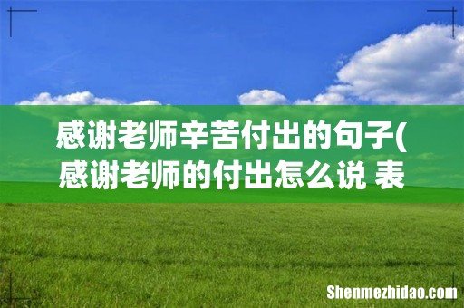 感谢老师的付出怎么说 表达真诚感激的句子 感谢老师辛苦付出的句子