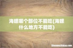 海螺什么地方不能吃 海螺哪个部位不能吃