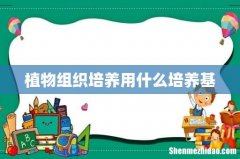 植物组织培养用什么培养基