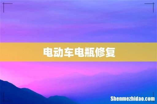 电动车电瓶修复
