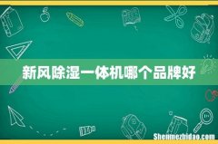 新风除湿一体机哪个品牌好