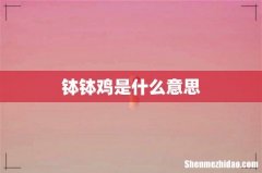 钵钵鸡是什么意思