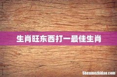 生肖旺东西打一最佳生肖