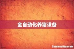 全自动化养猪设备