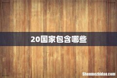 20国家包含哪些