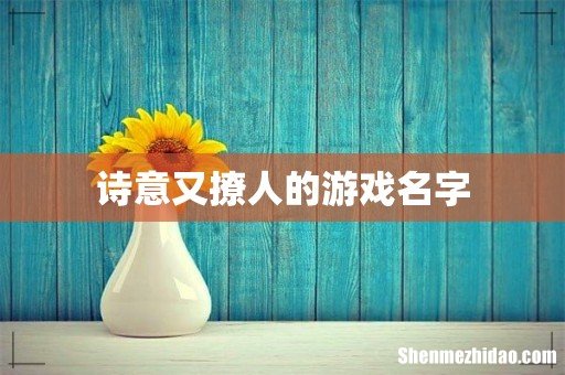 诗意又撩人的游戏名字