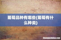 葡萄有什么种类 葡萄品种有哪些