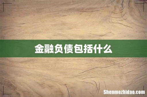 金融负债包括什么