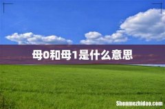 母0和母1是什么意思