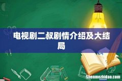 电视剧二叔剧情介绍及大结局
