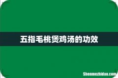 五指毛桃煲鸡汤的功效