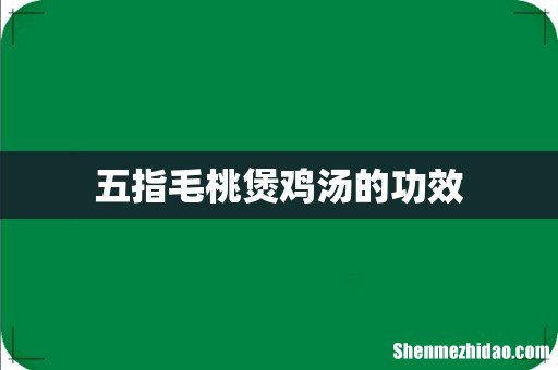 五指毛桃煲鸡汤的功效
