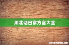 湖北话日常方言大全