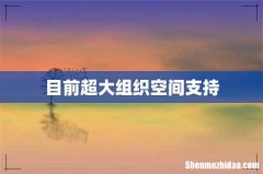 目前超大组织空间支持
