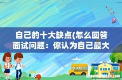 怎么回答面试问题：你认为自己最大的缺点是什么？ 自己的十大缺点