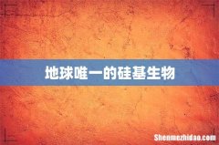 地球唯一的硅基生物