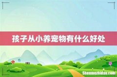 孩子从小养宠物有什么好处